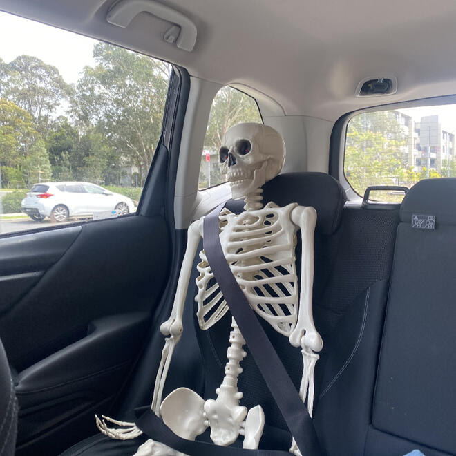 Jones Bones (28/11/24)